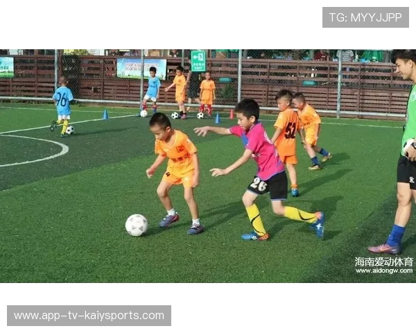 青训机构是否提供长期文化课程辅导，青少年培训机构